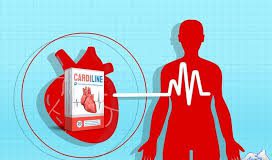 Cardiline - ljekarna - cijena - forum