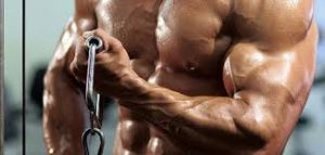 Nitro Strength - muscle supplement – Hrvatska – cijena – Amazon