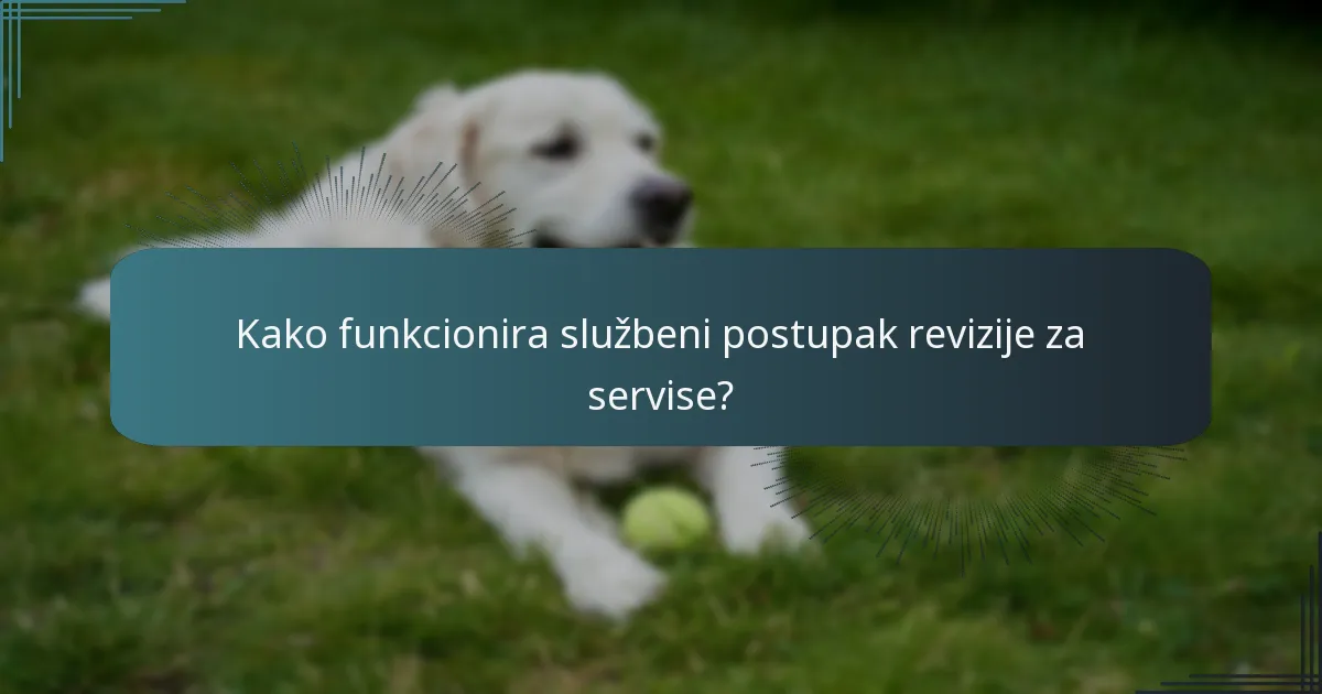 Kako funkcionira službeni postupak revizije za servise?