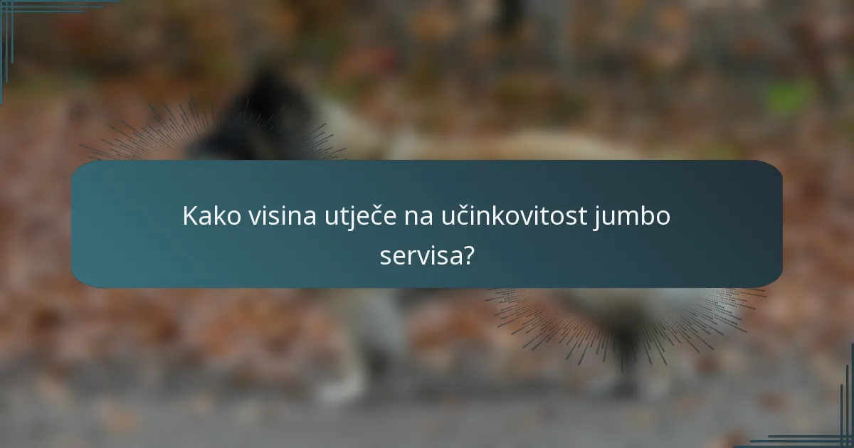 Kako visina utječe na učinkovitost jumbo servisa?