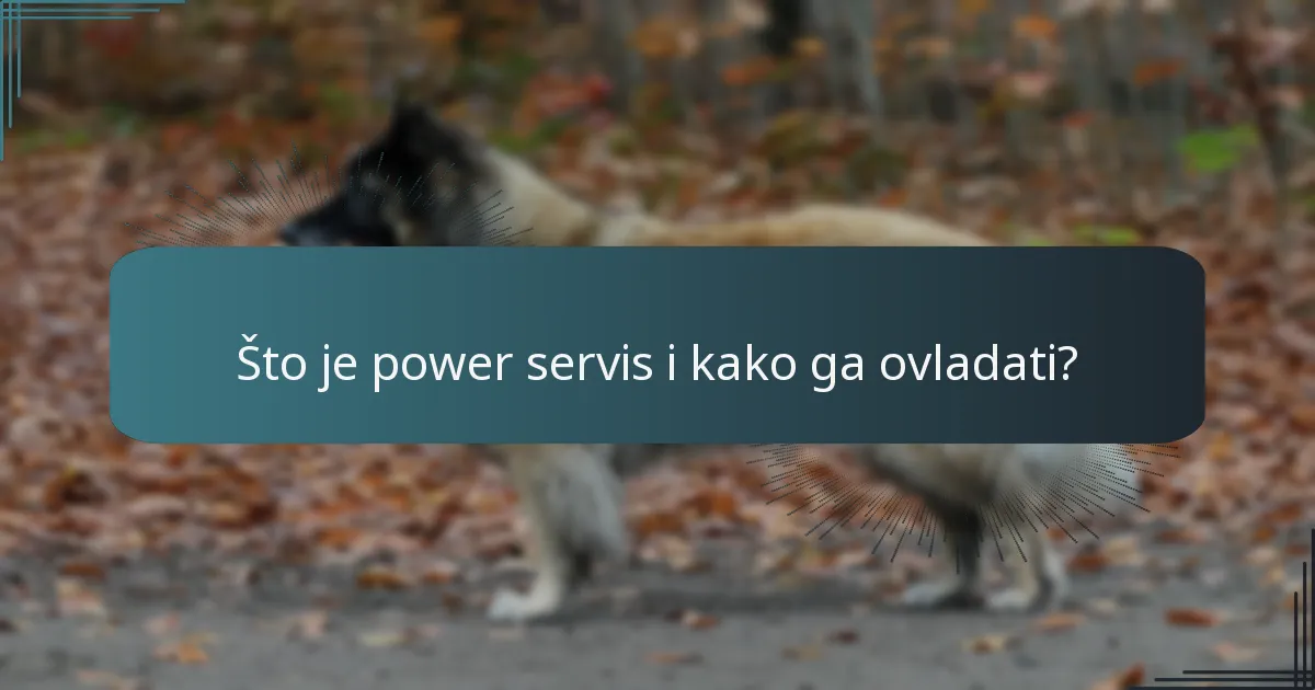 Što je power servis i kako ga ovladati?